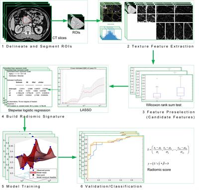 Development and Validation of a Novel Radiomics-Based Nomogram With Machine Learning to Preoperatively Predict Histologic Grade in Pancreatic Neuroendocrine Tumors